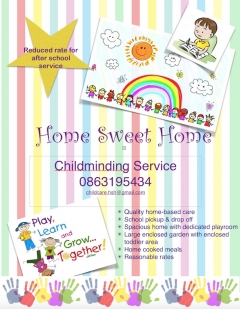 Babysitter required in Ballyneety